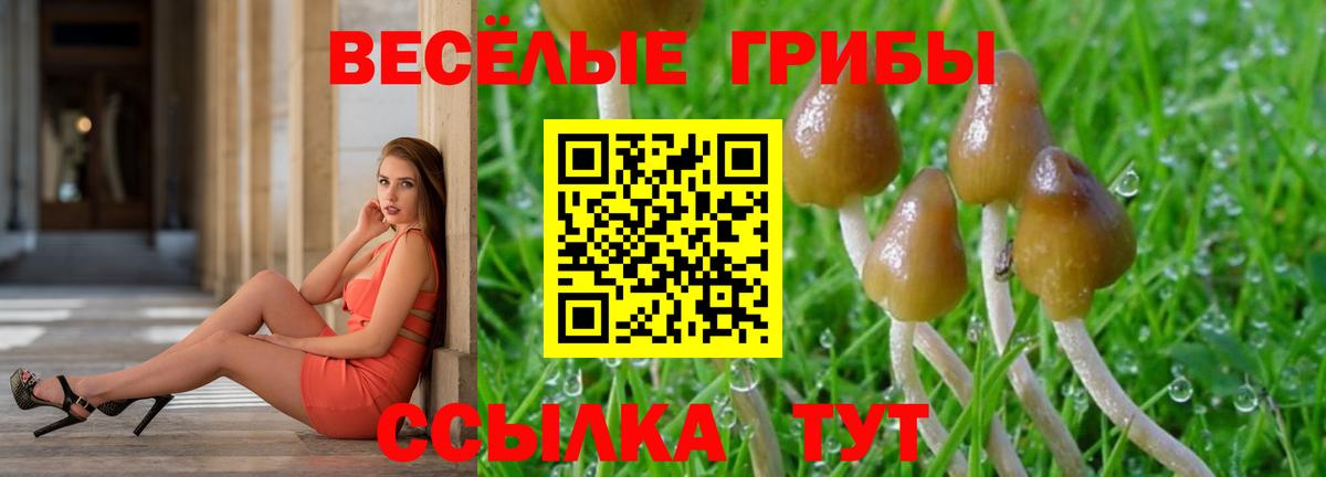 Псилоцибиновые грибы MAGIC MUSHROOMS Видное